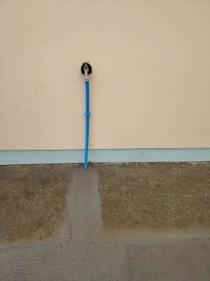 Water & Groundworks Specialists Carmarthenshire